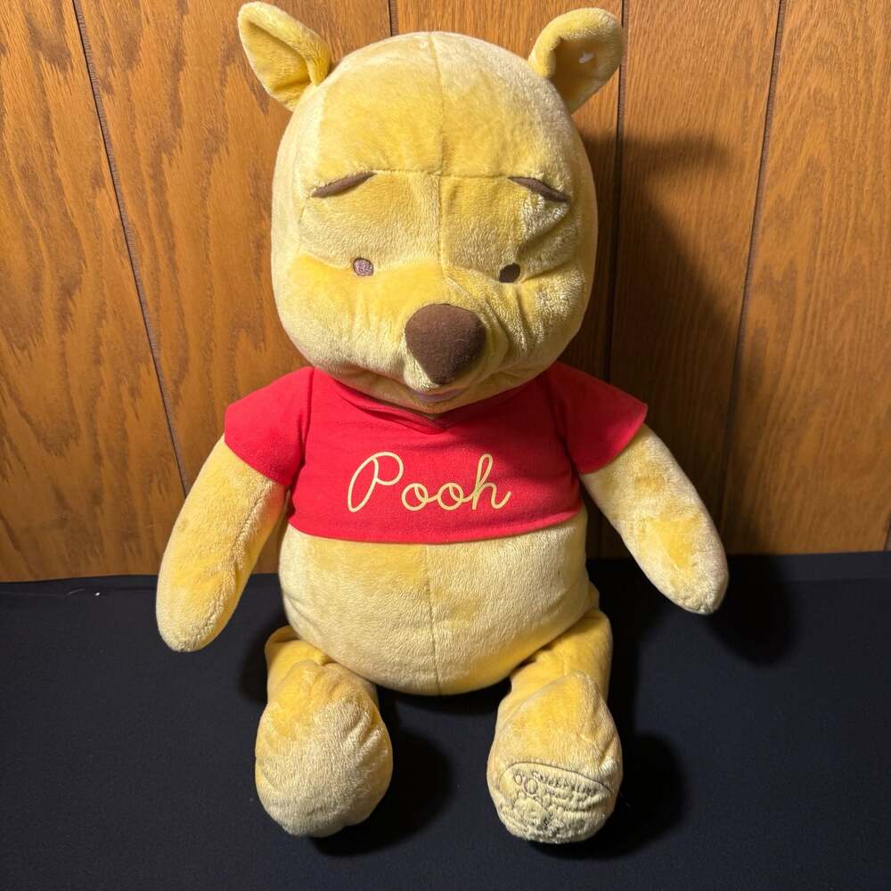 Disney Winnie the Pooh 80th Anniversary Large Plush Toy (2005)